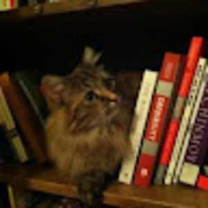 Meet your Posher, Avery